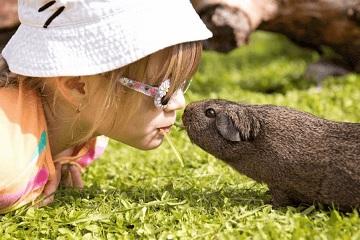 君的最佳配字 君后面跟什么字好听