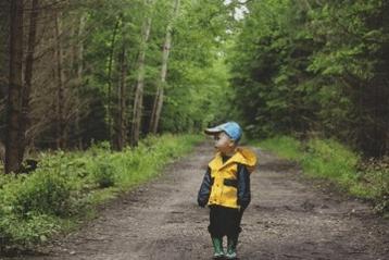 杜姓男孩起名鼠宝宝 