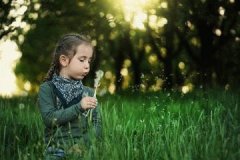 姓朱女孩100分名字大全 朱氏名字大全 