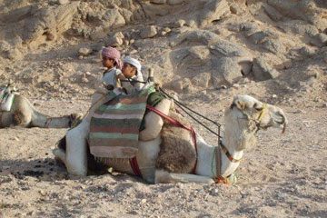 小婴儿的名字两个字 