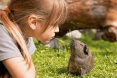 牛的名字霸气的 属牛带有水的男孩霸气名字 