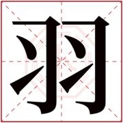 羽字的女孩名字好听 与羽字搭配的名字 