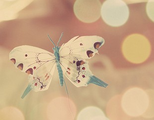 女孩英文名字大全2021