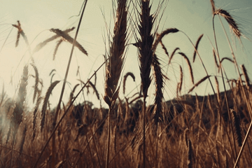 独一无二微信名字英文 