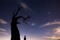 牛年宝宝起名字大全免费 吉利牛年男孩名字大全 