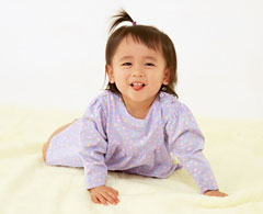 木字旁的字大全 