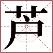 芦字的女孩名字大全 以芦字结尾的名字 