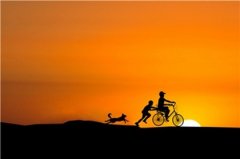 宝宝生辰八字五行取名 免费五行取名大全 