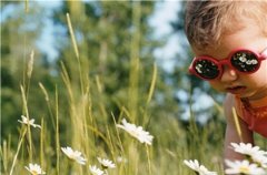 五行木水组合的名字 带水带木取名字 