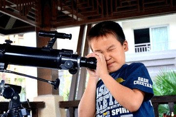 杨姓男孩名字属牛 