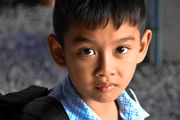 五行属木的属牛宝宝名字大全 