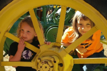 五行属木的字女孩用字 