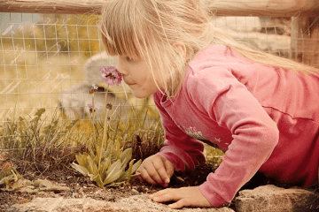 女孩英文小名萌一点的 