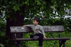 属牛的男孩取名字忌讳 属牛男孩取名字大全免费 