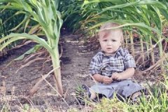 2021属牛起名禁忌 取名宜忌有哪些字 