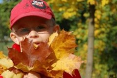 牛年王姓男宝宝取名 2021牛年男宝宝最佳取名 