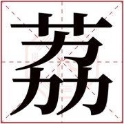 莉字的女孩名字有哪些 荔字取名 
