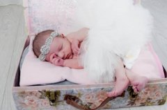 姓房女孩如何起名字 姓房的起名字有点古风女孩 