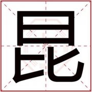 男孩取名用昆字好吗 带昆字的文雅男孩名字 