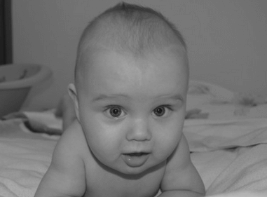 属狗男宝宝取名宜用字 