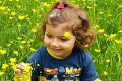 姓张起名字大全女孩 张姓女孩名字有气质有诗意 