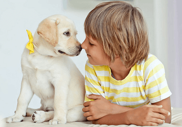 免费起名字男孩2022免费八字起名 