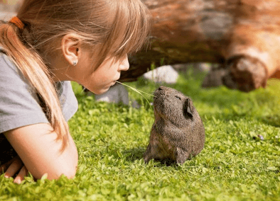 古诗中提取的女孩名字 