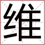 今年出生的男孩取名用维字 带维字的男孩名字 