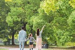 取名属木的字有哪些 属木宝宝适合的名字大全 