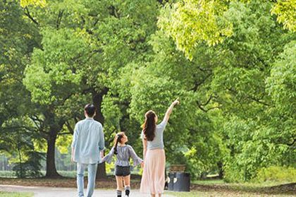 取名属木的字有哪些 属木宝宝适合的名字大全