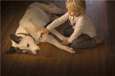 男孩名字大全属牛 