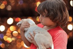 张名字大全男孩 姓张的男宝宝起名大全 