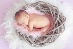 浩字女孩起名字有100分 怎么用浩字给女孩取名字 