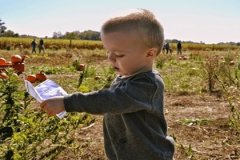 男孩子取名字哪些字好 哪些字用来取名字比较好 