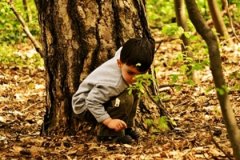 熊取名字男孩 姓熊的男孩取什么名字好听 