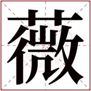 中间带薇字的名字女孩 薇字有诗意的名字 