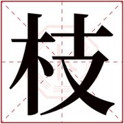 中间带枝字的名字女孩 枝字有诗意的名字 