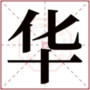 有华的名字女孩名字 华字取名女孩名字 