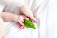 2021年4月牛宝宝取什么名字好 四月宝宝应该怎么取名 