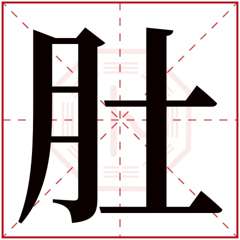 肚字五行属什么 肚字在康熙字典里多少画 