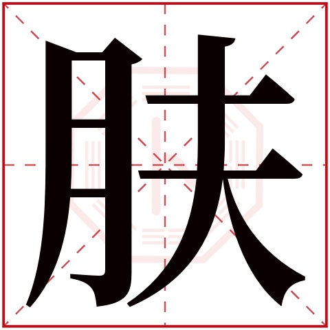 肤字五行属什么 肤字在康熙字典里多少画 